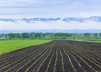 上海室內空氣質量檢測中心-上海CMA檢測報告
