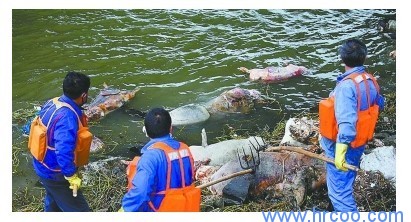 上海室內(nèi)空氣質(zhì)量檢測中心-上海CMA檢測報告